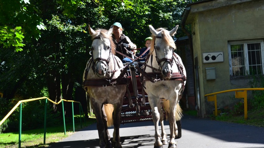 Strazdumuižas ciemata svētki 2017