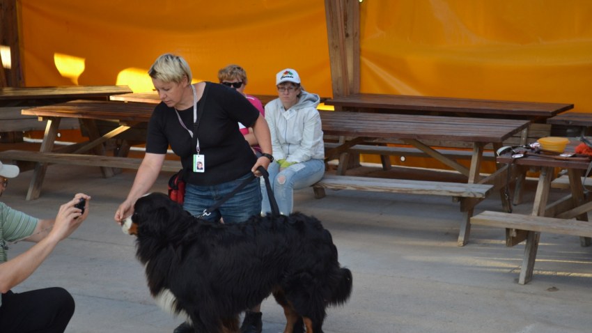 Nometne "Tilts uz veiksmi IV"