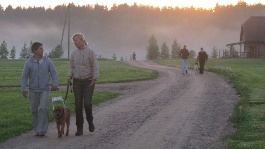 Nometne "Tilts uz veiksmi"2013