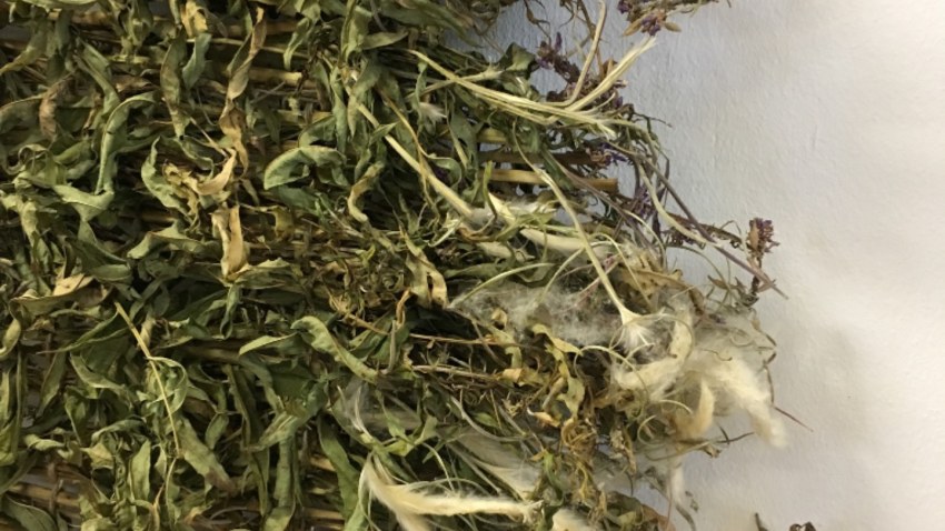 Tikšanās ar Zigmundu Lauriņu projekta Proti un Dari ietvaros