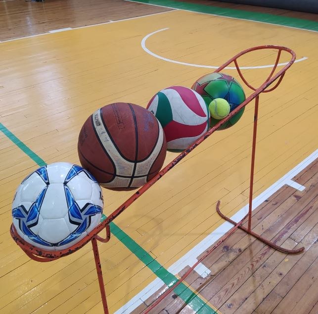 Balvu Teritoriālās invalīdu biedrības sacensības